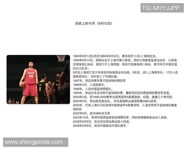 洛阳姚明飞的传奇之路：从篮球场到人生巅峰的奋斗故事