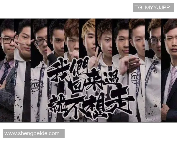 王者荣耀深度解析：WE战队团队协作背后的秘密与策略探讨