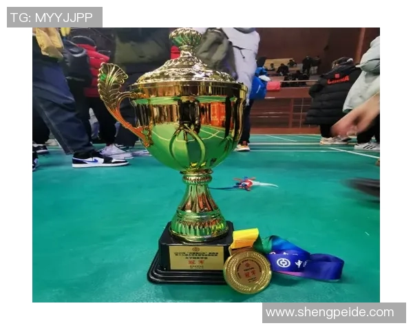 西安羽毛球队灵活性分析及其对比赛成绩的影响研究