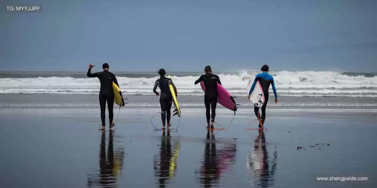 热血赛事，激情碰撞！⚽🏀